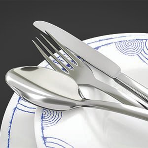 silverware flatware fork, knife, and spook on a dinner plate