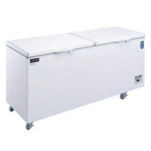 Dukers Chest Freezer BD/BG-520