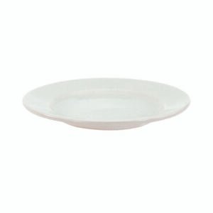 China Plate Narrow Rim 9-1/2" - Super White