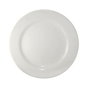 China Plate Rolled Edge 9-3/4" - White