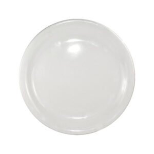 China Plate Narrow Rim 10-1/2" - White