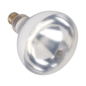 Heat Lamp Bulb - Clear