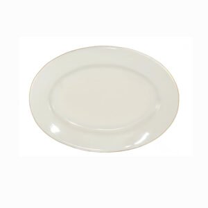 China Platter Rolled Edge 9-5/8" - White
