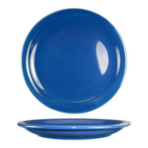 China Dinner Plate 9" Narrow Rim - Blue