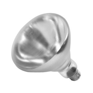 Shatter Resistant Heat Lamp Bulb - Clear