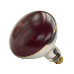 Shatter Resistant Heat Lamp Bulb - Red